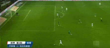 GIF 1.61M