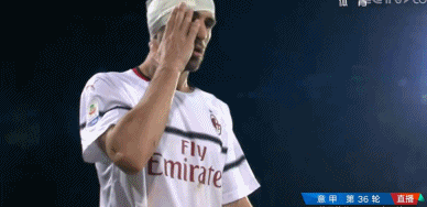 GIF1.1M