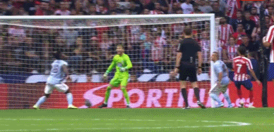 GIF 4M