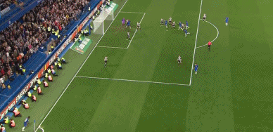 GIF 4.6M