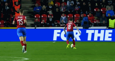 GIF 1.8M