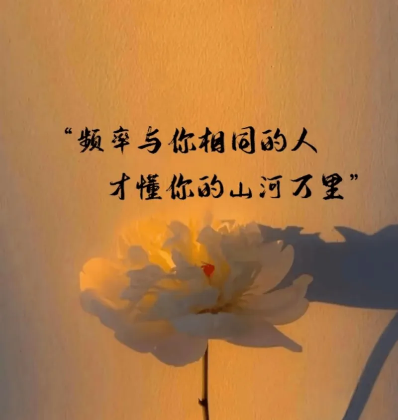 现观看黄黄的视频免费入口登录