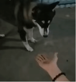 不知道纯度怎么样