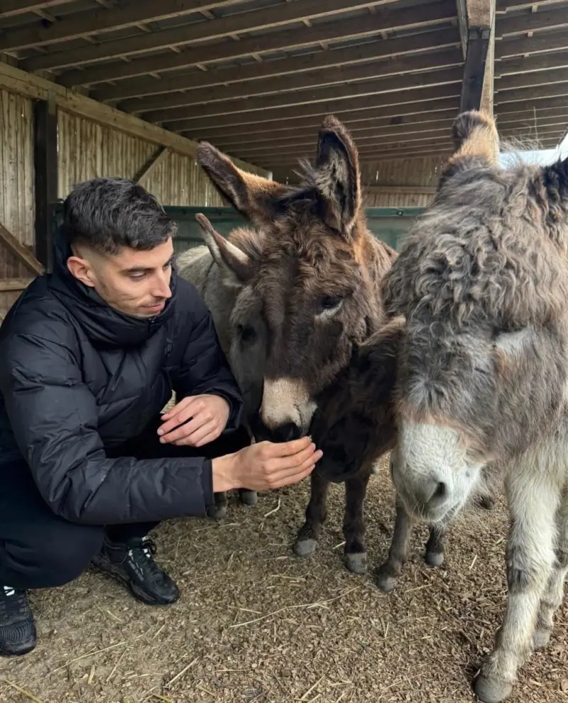 耍这种手段也太low了吧�？！