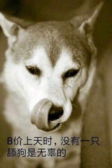 求一波舔狗表情包_虎扑