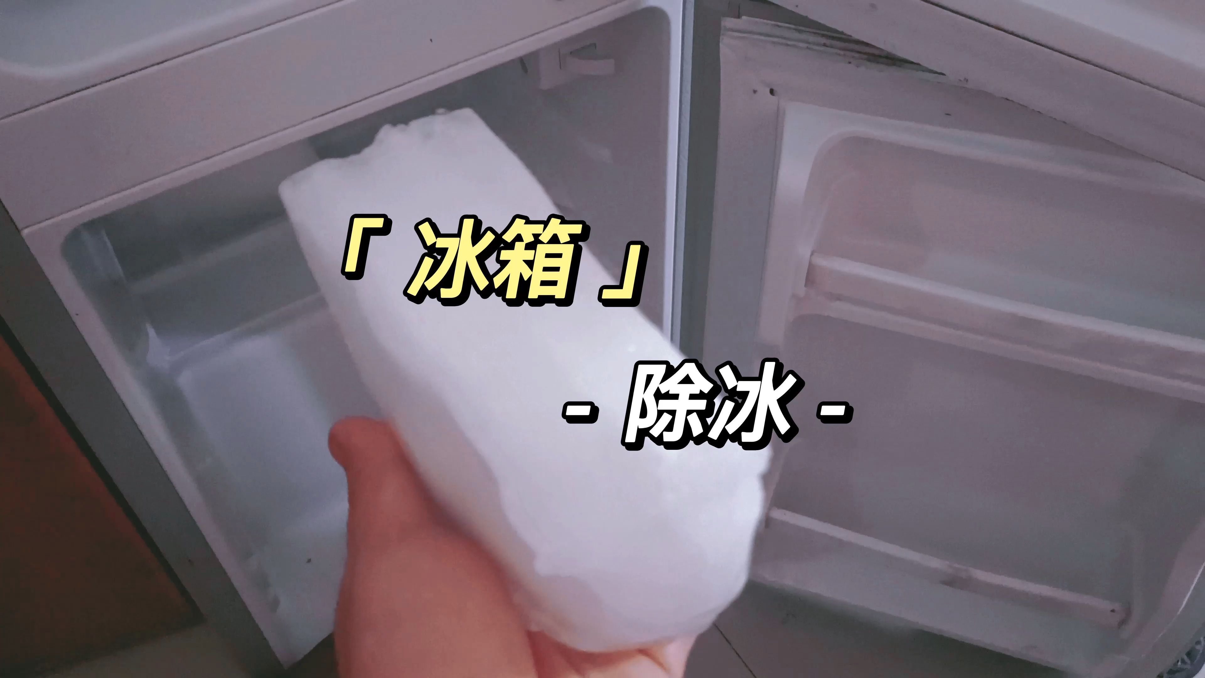 美食给小冰箱除冰顺便试吃大希地烤肠