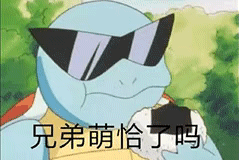 jr们,我需要可爱的龟龟的表情