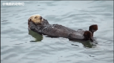 编辑- 步行街主干道 - 虎扑社区