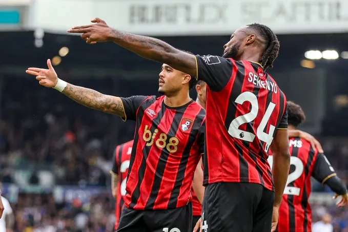 香蕉视频在线2025注册正版