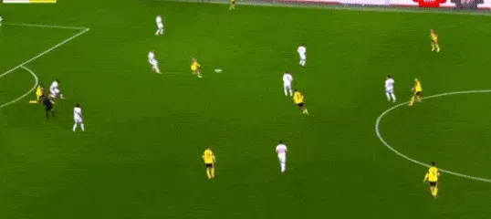 香蕉视频在线2025精装版