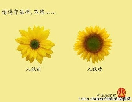 12831737020.jpg