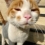 �ҽ�����