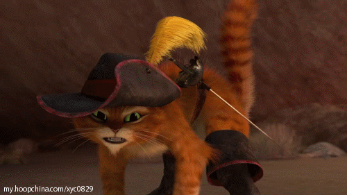 萌猫三剑客~萌翻你的双眼~正好以解心中不快