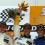 BMW_VET