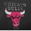BULLS FANS