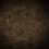 tn594188211