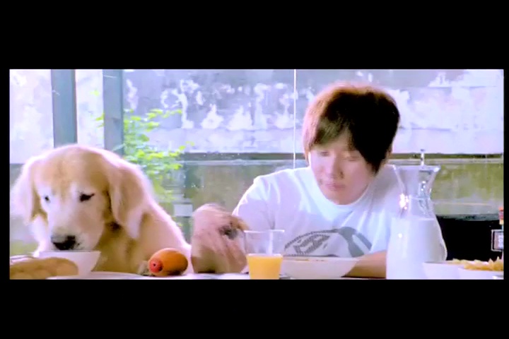video-poster