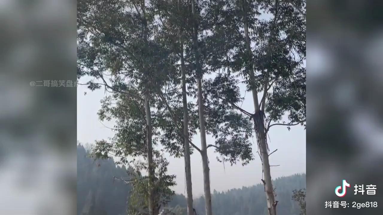 video-poster