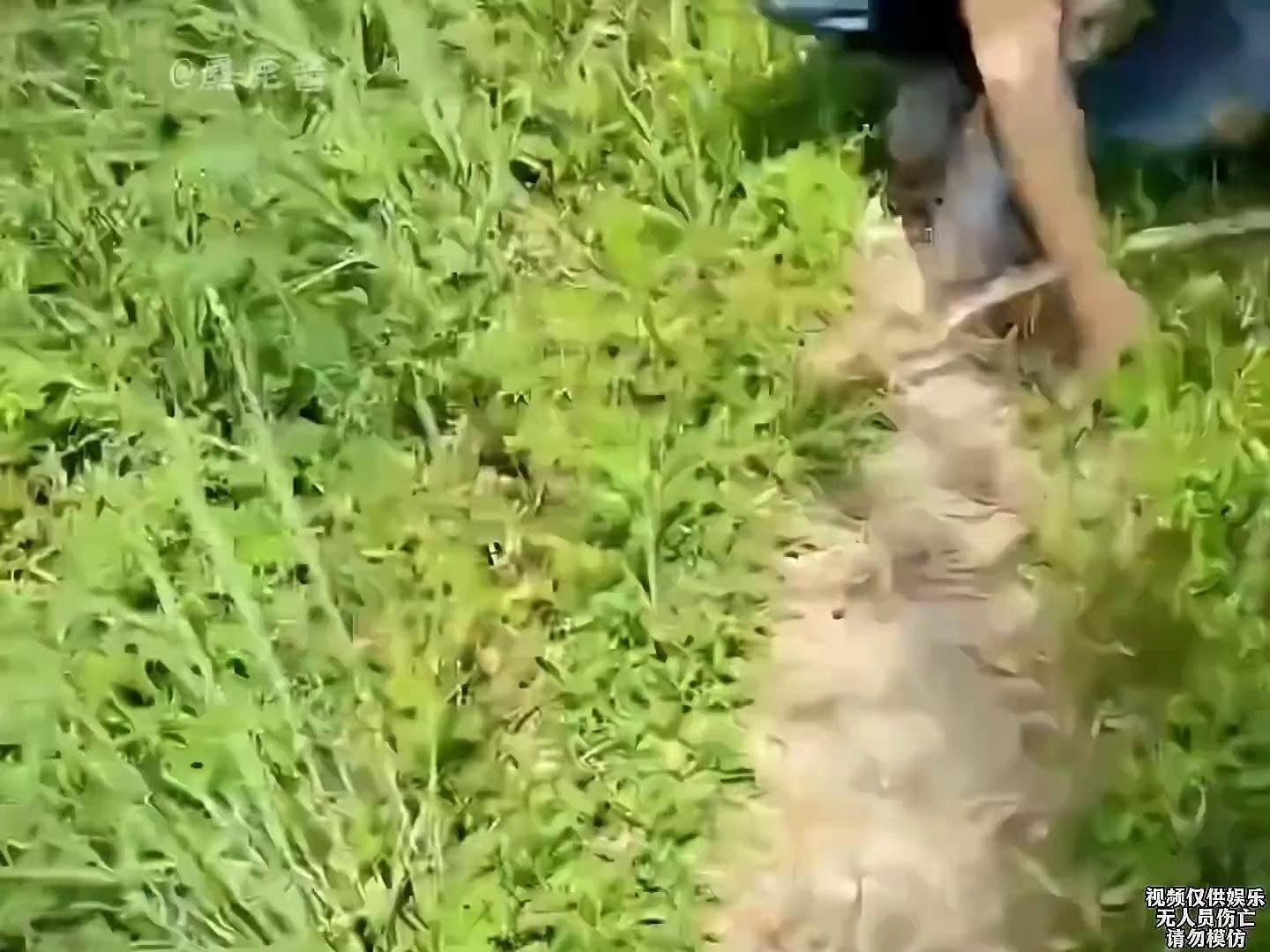 video-poster