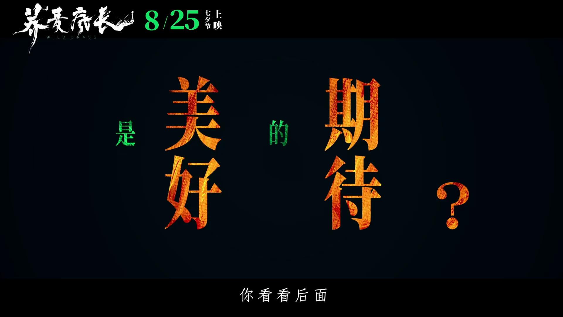 video-poster