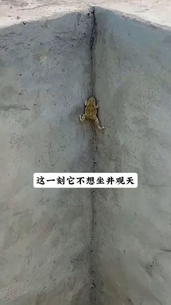 video-poster