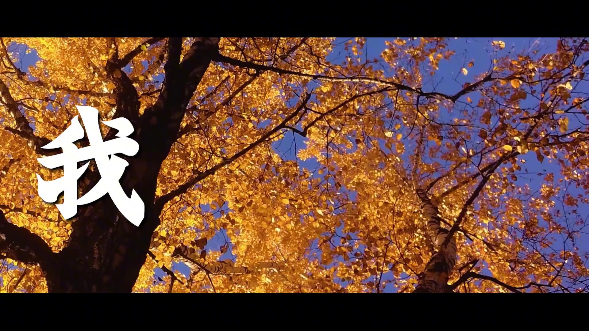 video-poster