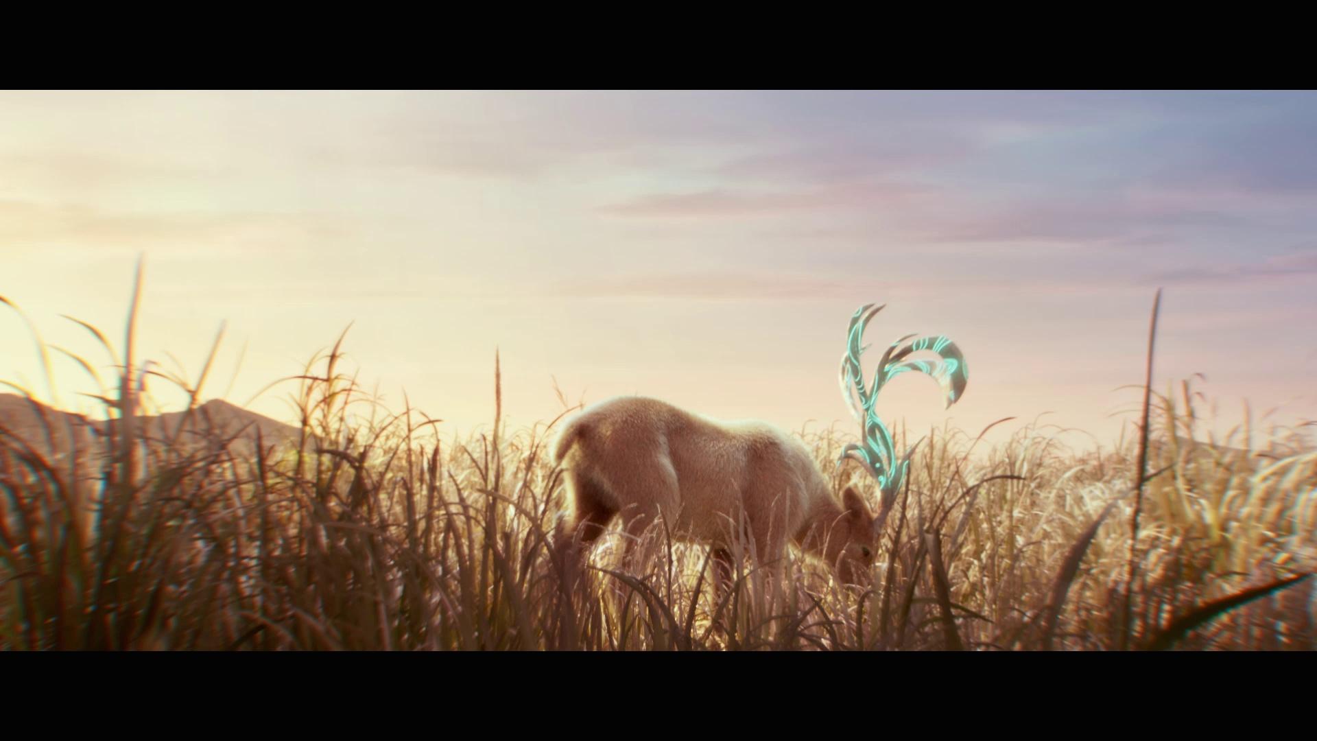 video-poster
