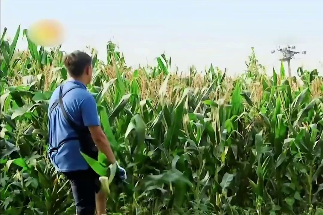 video-poster