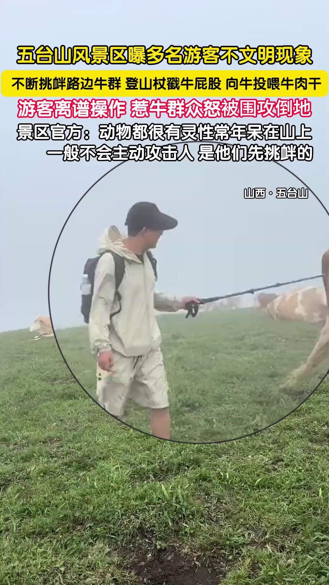 video-poster