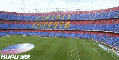 GIF 4.8M