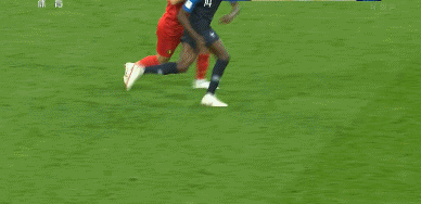 GIF 1.6M