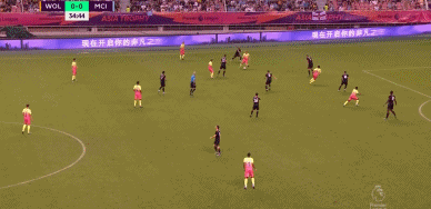 GIF 1.6M