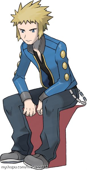 宝可梦动画相关顶级训练师的实力评级联盟大会冠军四天王会员地区冠军