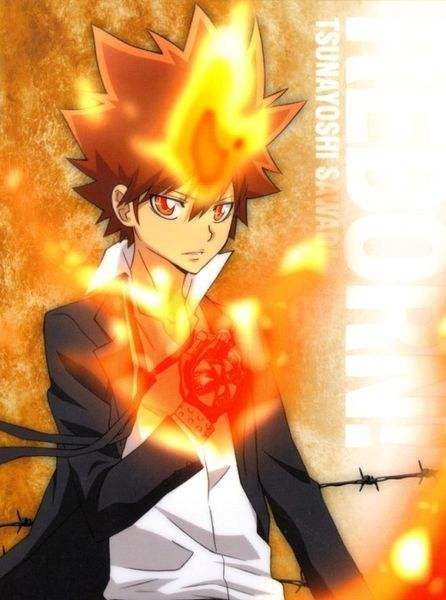 家庭教师彭格列十代成员,你最想拥有谁的能力