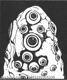 Dn死神综合实力排名 Acg区 虎扑社区