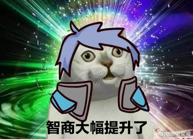 Zvmv2zk3a5j6rm