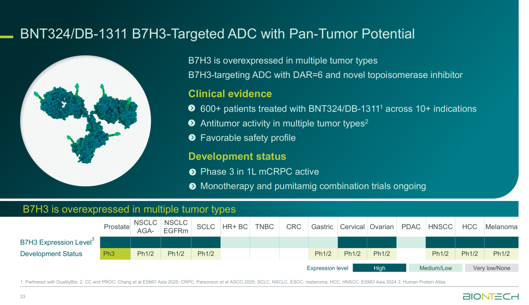 BioNTech启动B7-H3ADC首个III期临床