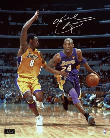 求一张科比后仰图