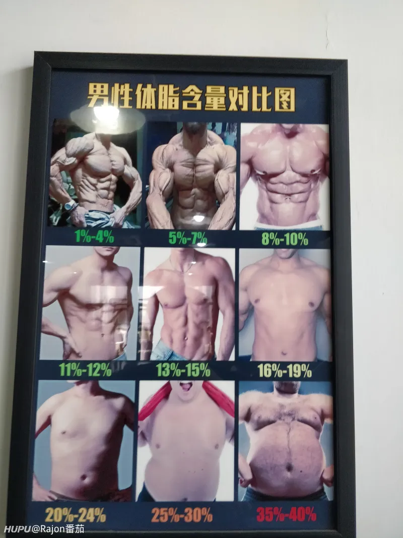 麻烦大佬们帮我目测一下体脂率 第2页 健身和运动健康 虎扑社区