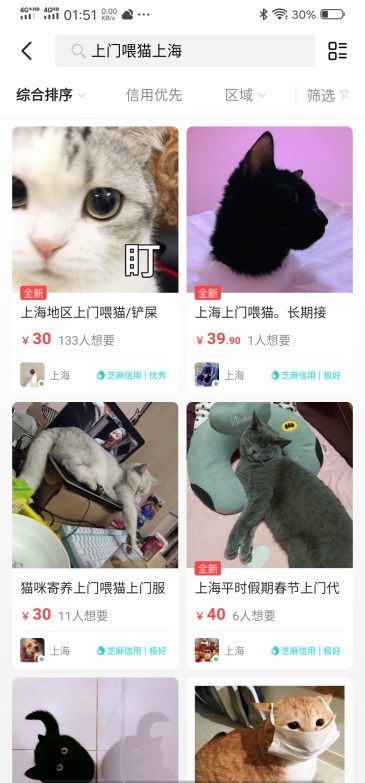 因为一场疫情我的猫饿死了我该怎么处理 虎扑