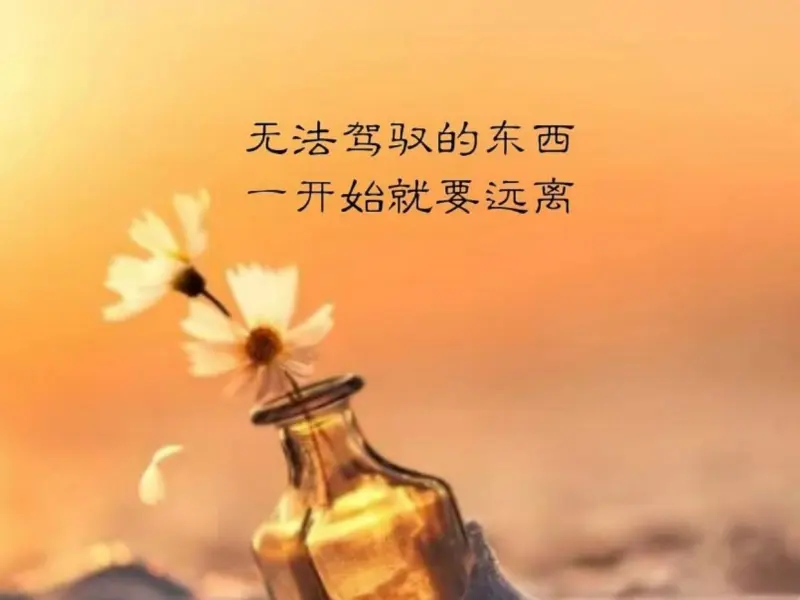 特罗萨德社媒晒照：人人都爱高质量定位球，难道不是吗😉