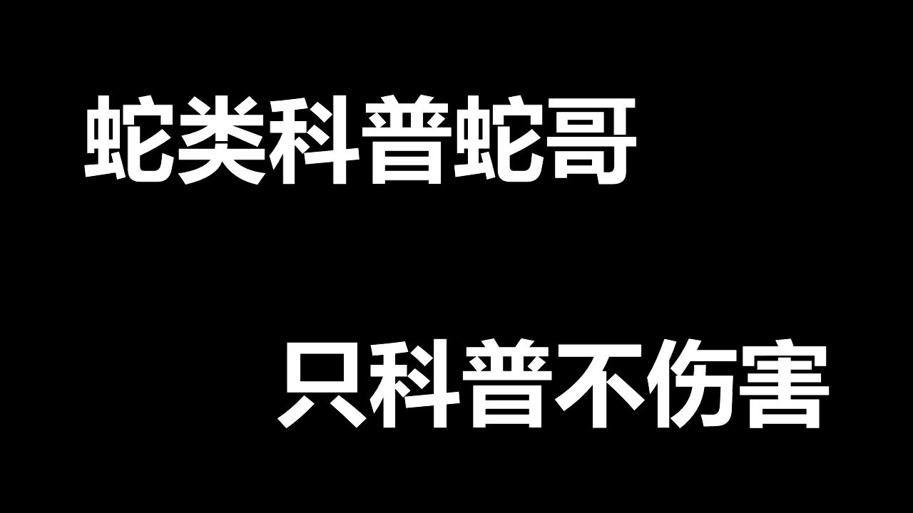 我是斗鱼蛇类科普蛇哥