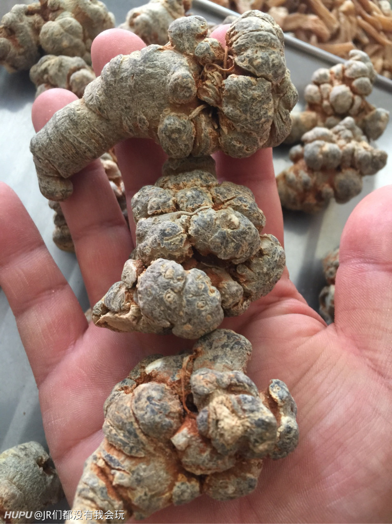 从事药材三年,关于云南三七,天麻知无不言.