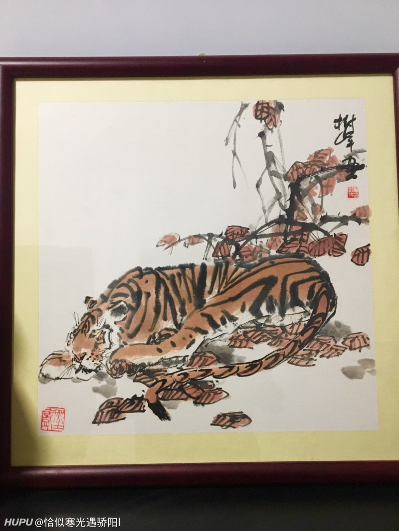 卧虎 这幅画能值多少钱 虎扑