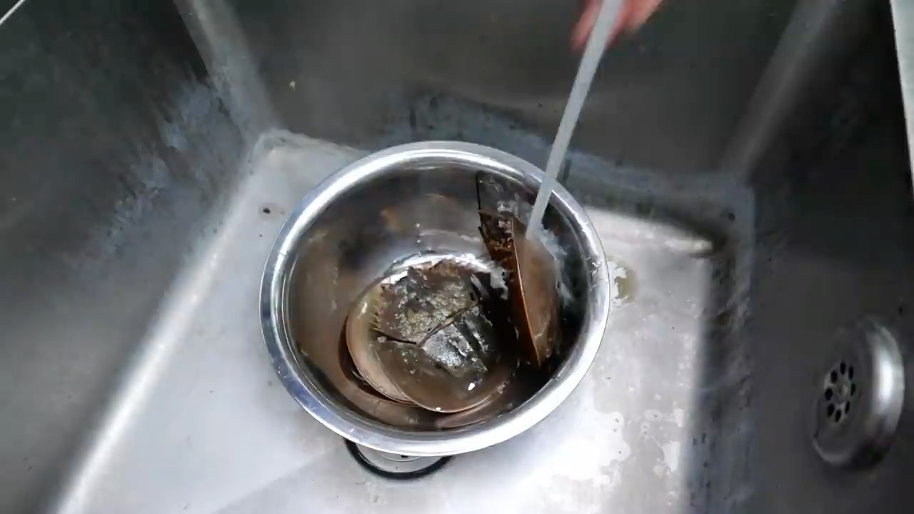 泰国街头特色美食鲎蛋看完你敢吃吗