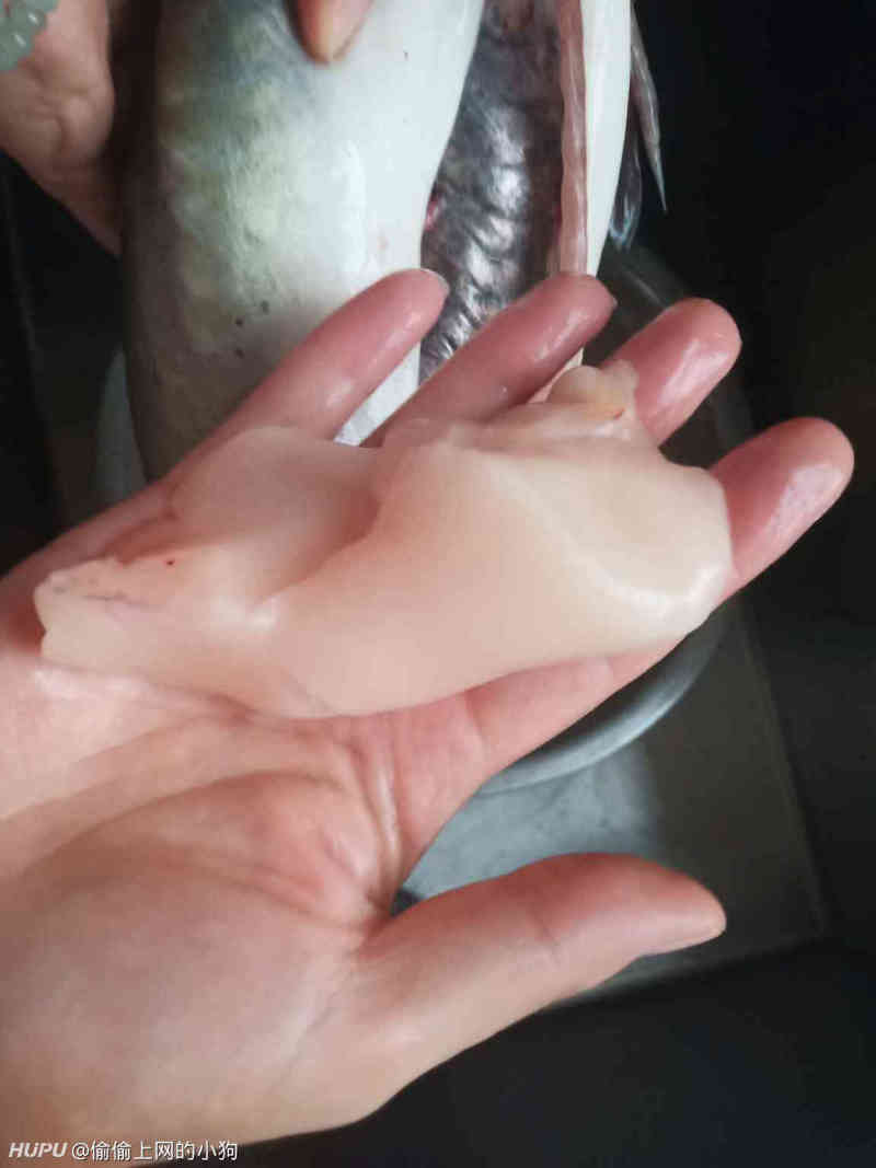 不懂就问,清江鱼肚子里这块是个什么