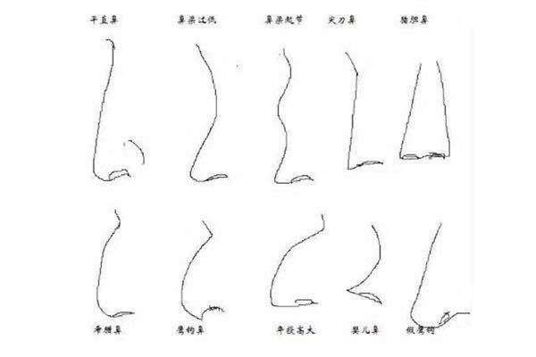 你们是哪种鼻子？