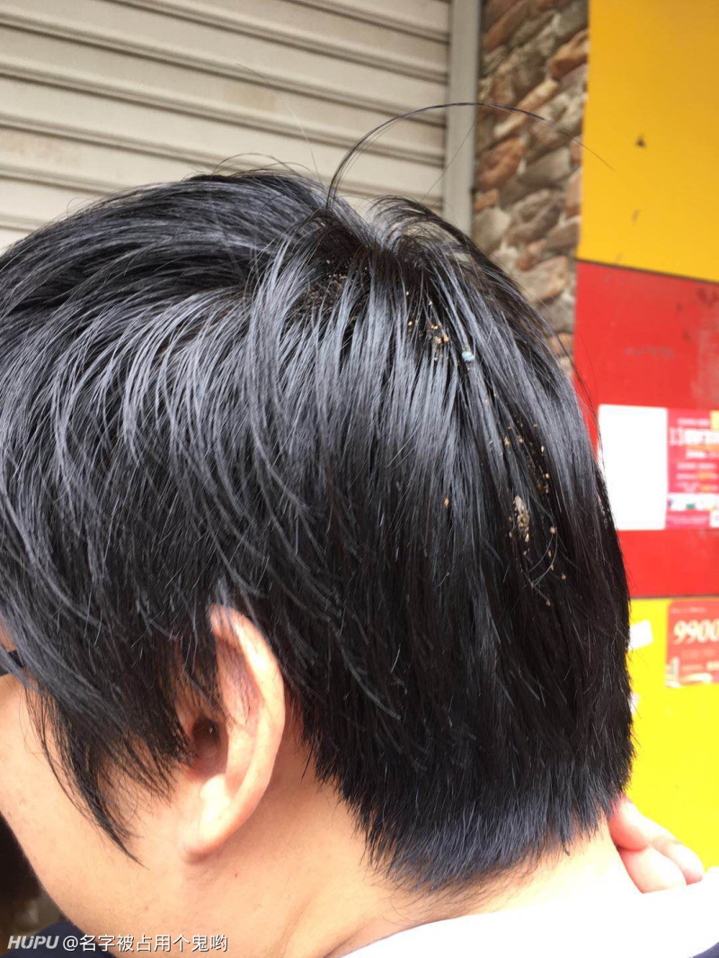 下班回家路上被鸟屎砸中什么水平?