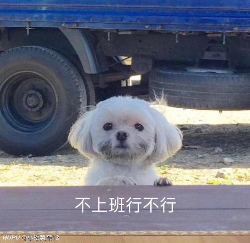 不想做业务了 虎扑