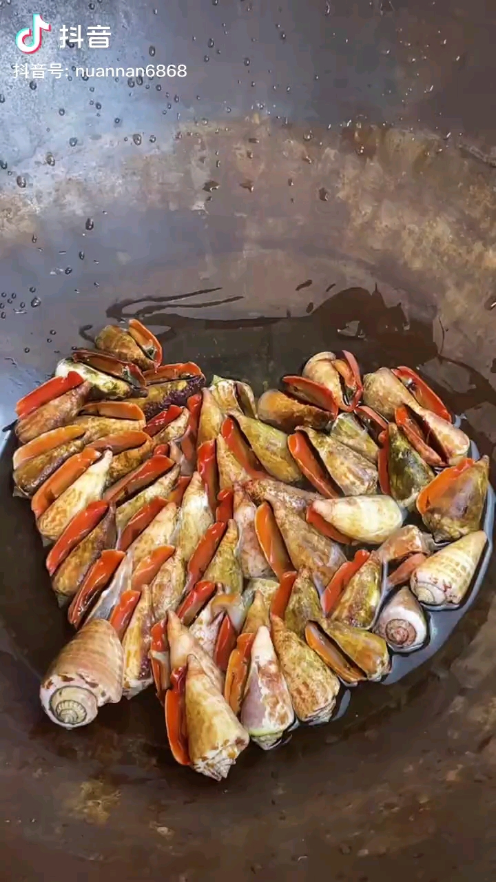 吹着海风来一盘辣炒篱凤螺